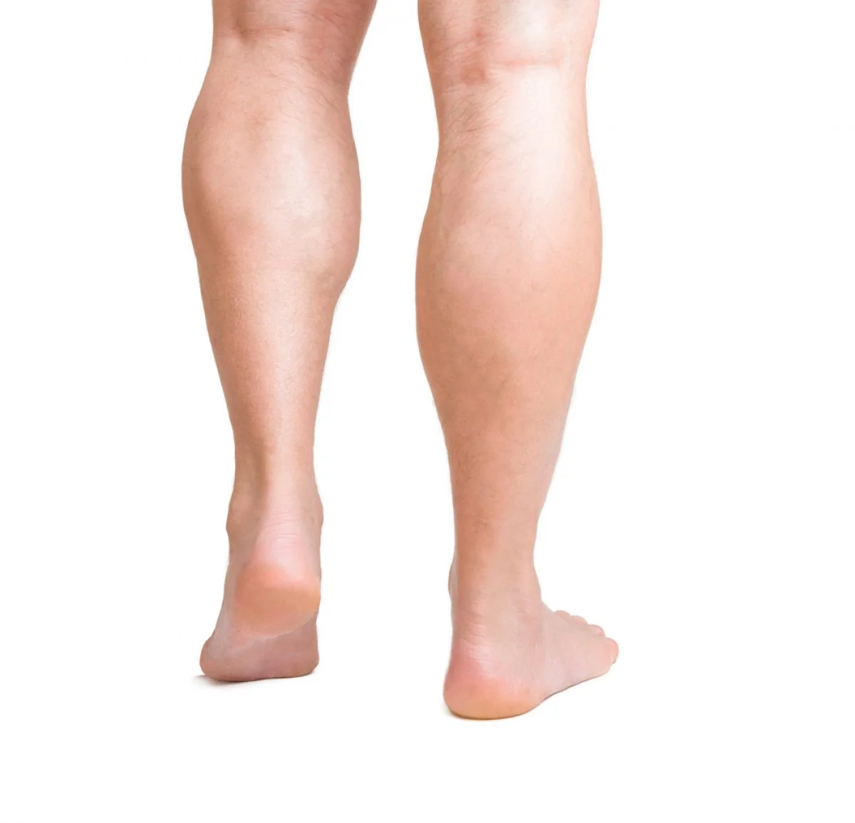 Calf muscle growth depends on foot positioning