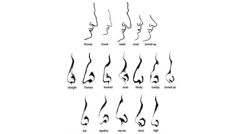 different nose shapes