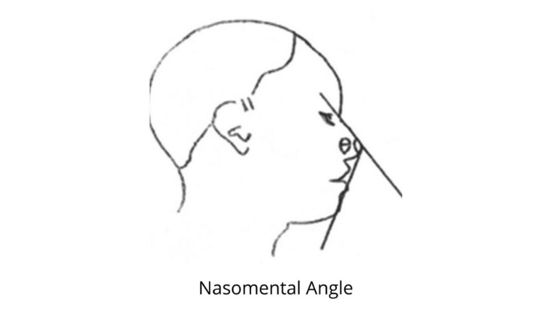 nasomental angle